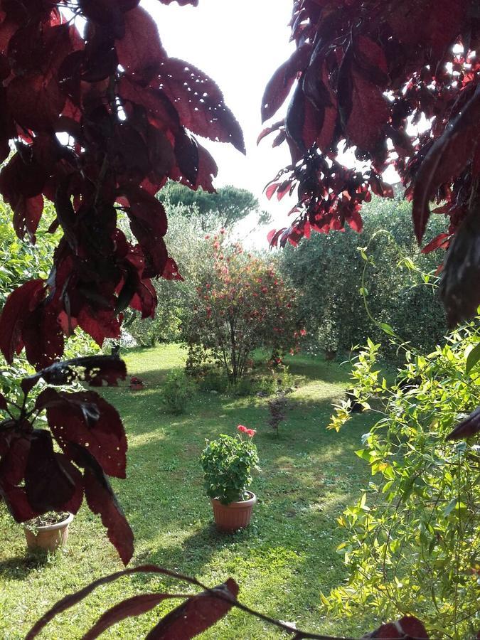 Apartamento Aliso' Sarzana Exterior foto