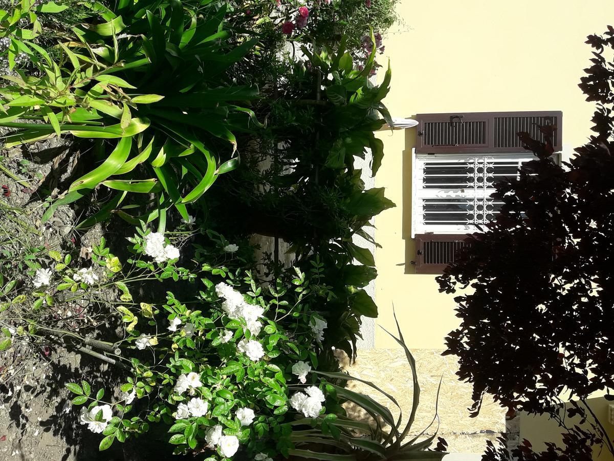 Apartamento Aliso' Sarzana Exterior foto